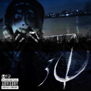 jungle interlude (feat. DannyxTrippin) (Explicit)