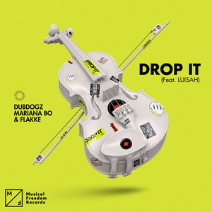 Drop It (feat. LUISAH) (Extended Mix)