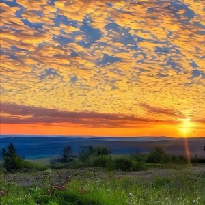 我爱你没有目的