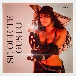 Se Que Te Gustó