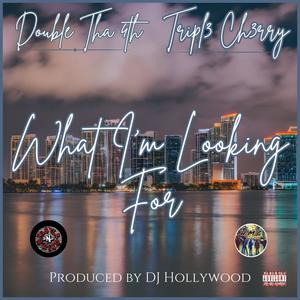 What I'm Looking For (feat. Tripl3 Ch3rry) [Explicit]