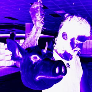 rebel against the pigs (Explicit)