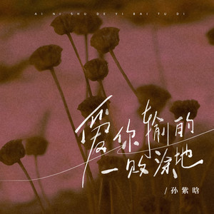 爱你输的一败涂地