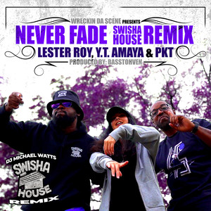 Never Fade (SwishaHouse Remix) [Explicit]