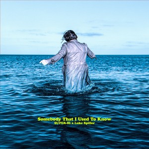 Somebody That I Used To Know