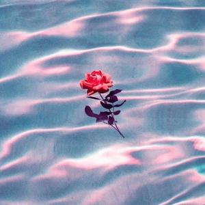 Some Day (feat. Milk Chocolate)