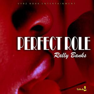 Perfect Role (Explicit)