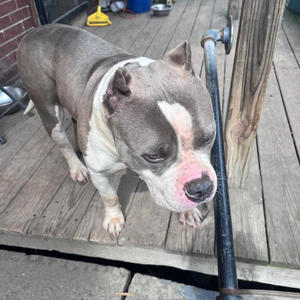 WhereYouBeen (Explicit)