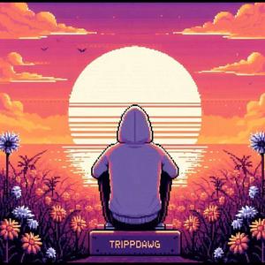 i can see the flowers in the sun (feat. BIN DIN) (Single version|Explicit)