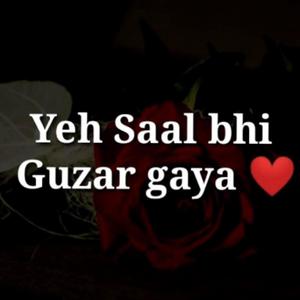 YEH SAAL BHI GUZAR GAYA