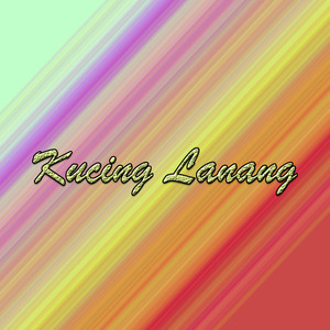 Kucing Lanang