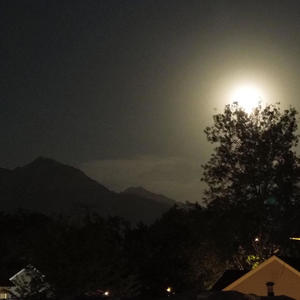 Certified heartbreaker (feat. v6ix) (Explicit)