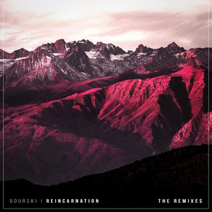 Reincarnation (Muffler Remix)