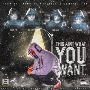 This Ain't What You Want (feat. MotoRollA, 62Woo, BigSleep Da Tyte Eyed Playa, BullCity OulBoy & Van Gogh) [Explicit]