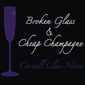 Broken Glass & Cheap Champagne