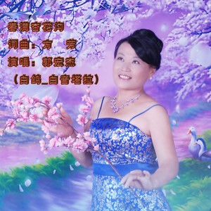 春满杏花沟