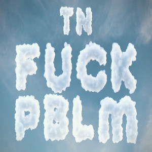 **** PBLM (Explicit)