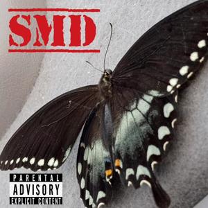 SMD