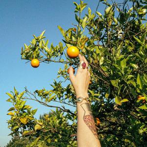 Orange (feat. Alex Infinity) (Explicit)