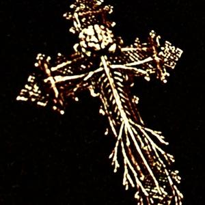 elevation / going up (Explicit)