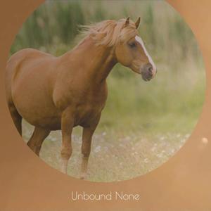 Unbound None