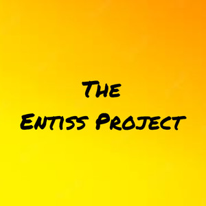 The Entiss Project (Radio Edit)