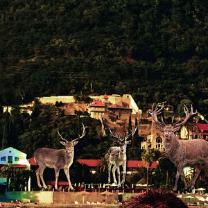 Шуесчык (Explicit)