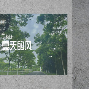 夏天的风