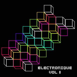 Electronique Vol 1