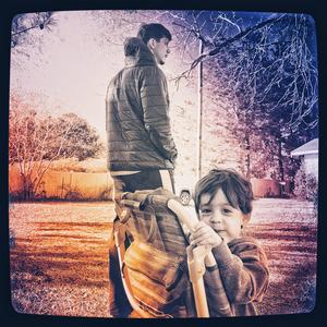 Green Light To Go Plant