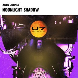 Moonlight Shadow (Original Mix)