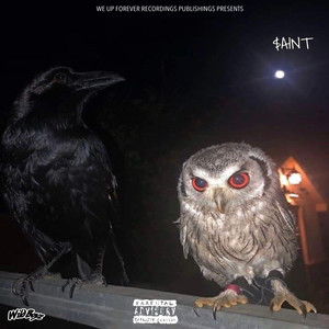 100 BILL$ (Explicit)