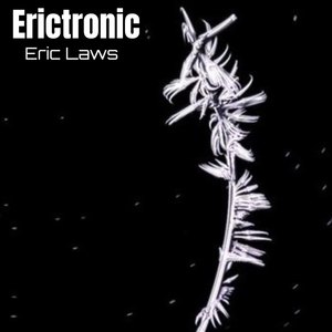 Erictronic