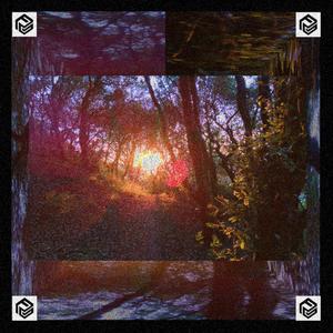 La luce indicava la strada