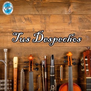 Tus Despechos