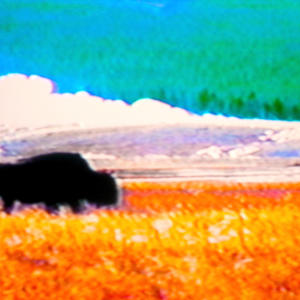 waiting by the phone