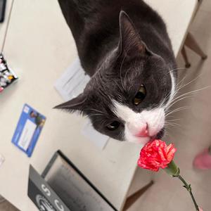 Ransom! (feat. Death2kalon) (Explicit)