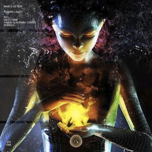 Passing Lights (Divestorm Remix)