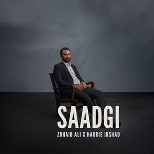 Saadgi Toh Hamari (feat. Zohaib Ali)