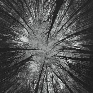 Nimbes (Eric Holm's 10/50 mix)