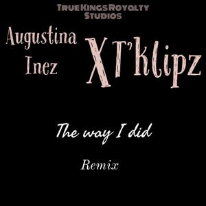 The way i did (feat. T'klipz) [Remix] [Explicit]