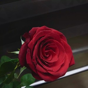 All of me (SIMBA Remix)