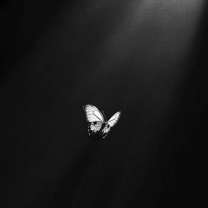 Void (影视小曲)-停留于7的位置