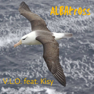 Albatross