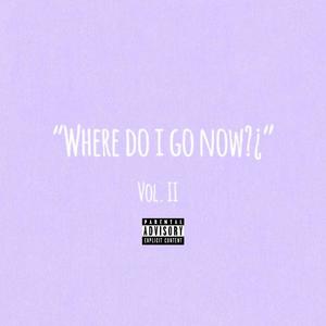 Where Do I Go Now?, Vol. 2