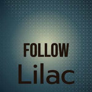 Follow Lilac