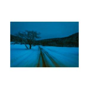 I'll Be Home/Have Yourself A Merry Little Christmas