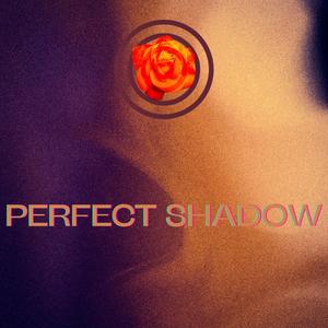Perfect Shadow