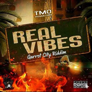 Real Vibes (feat. Pipa Lyrically Musically, ReeZP & 23 Style Dem) (Explicit)