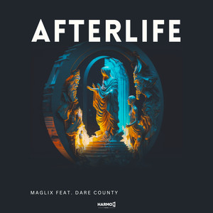 Afterlife